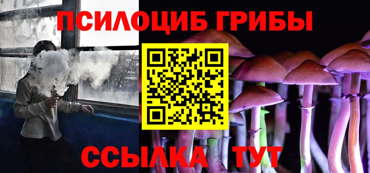 Галлюциногенные грибы Cubensis Переславль-Залесский